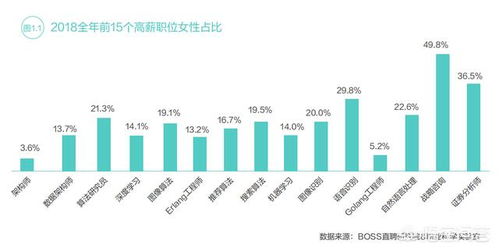 工程計算、計算機科學與技術、軟件工程、信息工程及信息技術咨詢 薪酬對比與職業前景分析